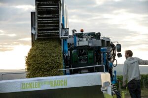 Vendanges mécanisées domaine Servin Chablis
