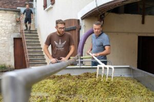 Vendanges domaine Servin Chablis